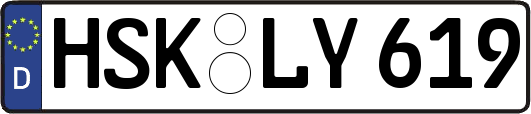 HSK-LY619