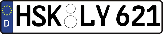 HSK-LY621