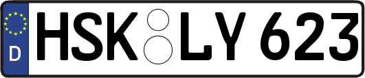 HSK-LY623
