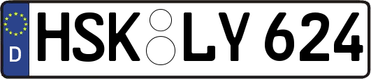 HSK-LY624