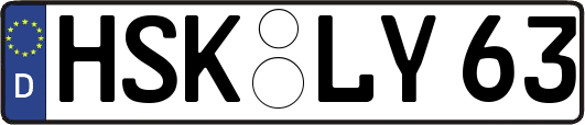 HSK-LY63