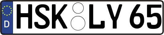 HSK-LY65