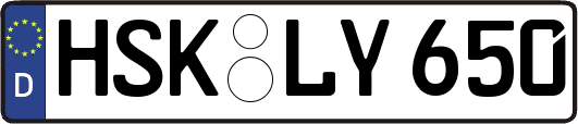 HSK-LY650