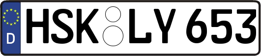 HSK-LY653