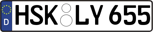 HSK-LY655