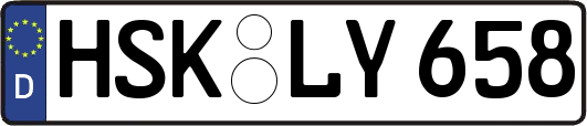 HSK-LY658