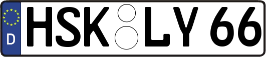 HSK-LY66