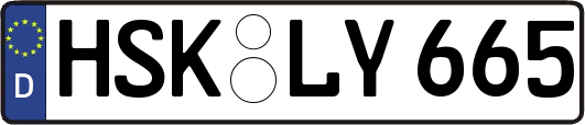 HSK-LY665