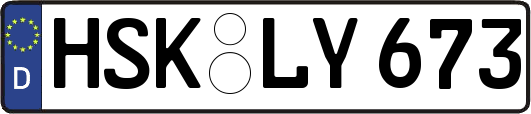 HSK-LY673