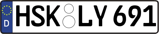 HSK-LY691