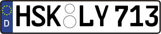 HSK-LY713