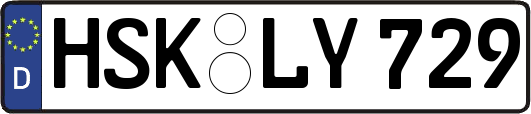 HSK-LY729