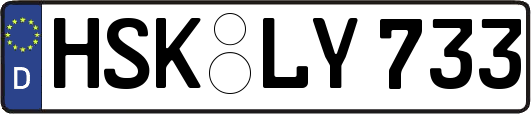 HSK-LY733