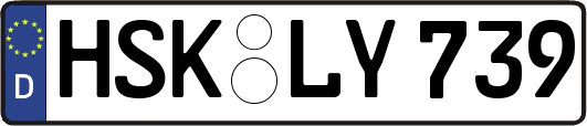 HSK-LY739