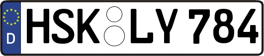 HSK-LY784