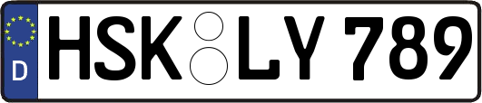 HSK-LY789