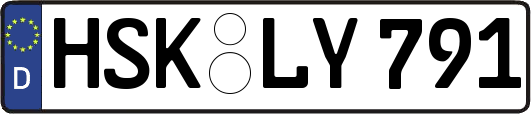 HSK-LY791