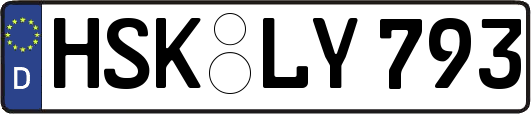 HSK-LY793