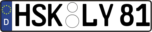 HSK-LY81