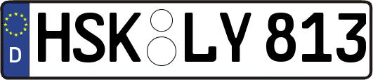 HSK-LY813