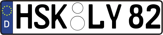 HSK-LY82