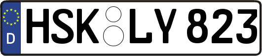 HSK-LY823