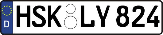 HSK-LY824