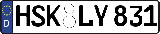 HSK-LY831