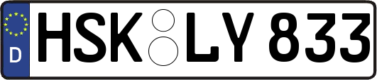 HSK-LY833