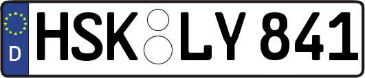 HSK-LY841