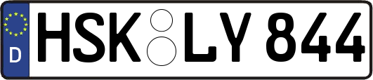 HSK-LY844