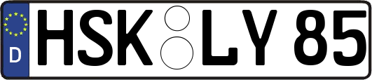 HSK-LY85