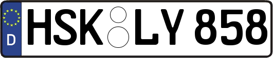HSK-LY858