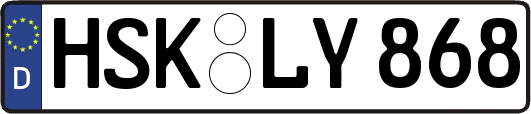 HSK-LY868