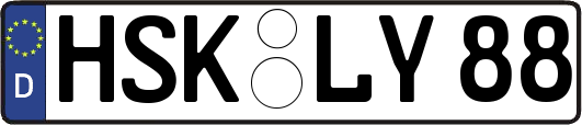 HSK-LY88