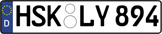 HSK-LY894
