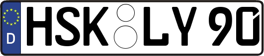 HSK-LY90