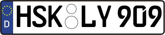 HSK-LY909
