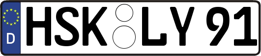 HSK-LY91