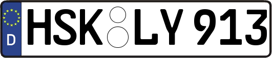 HSK-LY913