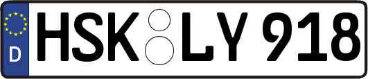 HSK-LY918