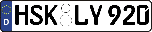 HSK-LY920