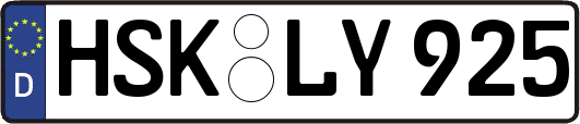 HSK-LY925