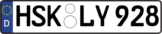 HSK-LY928