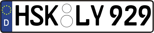HSK-LY929