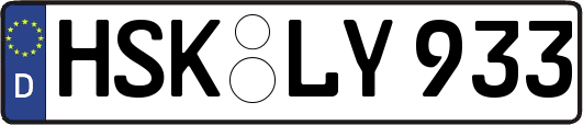 HSK-LY933