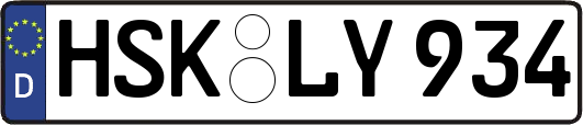 HSK-LY934