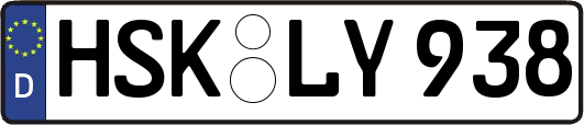 HSK-LY938