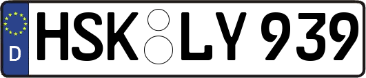 HSK-LY939