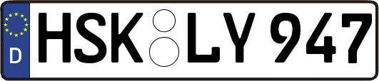 HSK-LY947